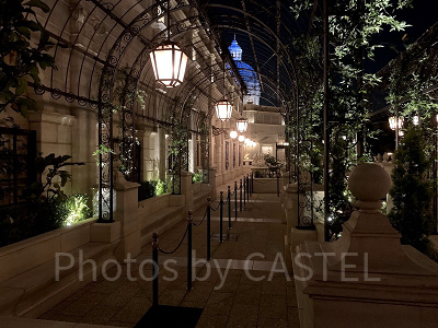 ソアリンのスタンバイレーン（外）