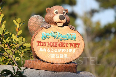 スプラッシュ・マウンテンと言えば滝つぼへの落下！