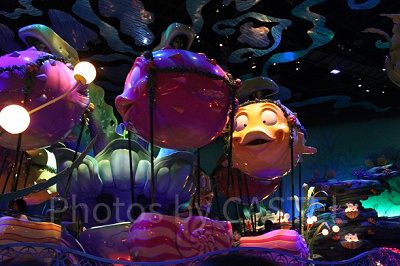 回転レースのスタート