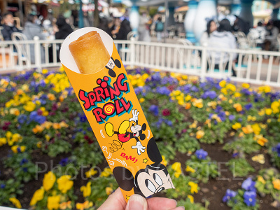 スプリングロール