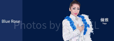 ハウステンボス歌劇団は各チームにスターが君臨