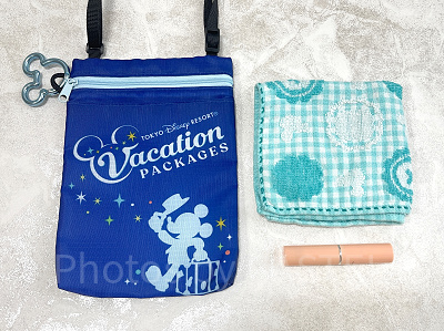 バケパのショルダーバッグの収納力