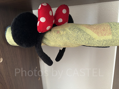 突っ張り棒での収納