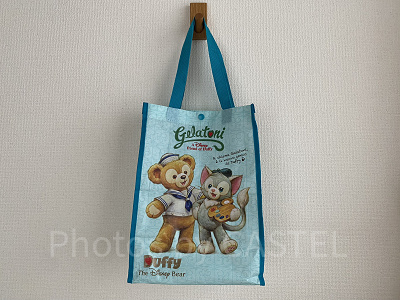 ディズニーに行くならサブバッグが便利