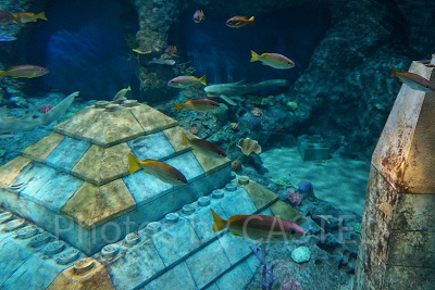 サブマリン・アドベンチャー