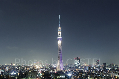 スカイツリーの絶景