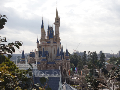 スイスファミリー・ツリーハウス：昼のシンデレラ城