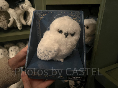 2026】USJのハリーポッターグッズ厳選32種！人気のお土産＆販売