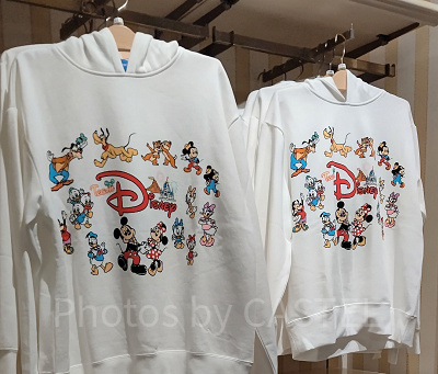 チームディズニーパーカー