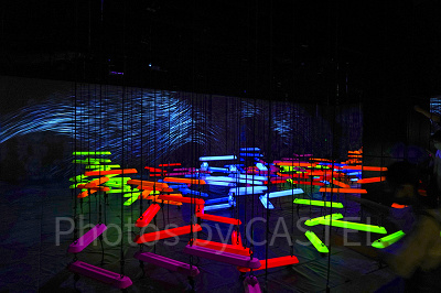 チームラボお台場の「運動の森」エリア（アスレチック的な要素あり）