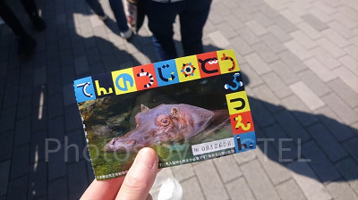 天王寺動物園の入園チケットの半券