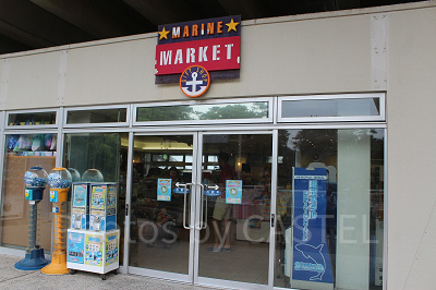 マリンマーケットの外観。園外に出た後でも買い物ができます