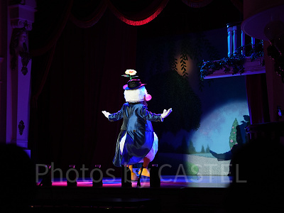 ザ・ダイヤモンド・バラエティマスター：ドナルドの頭にお花が！