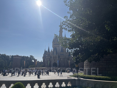 城前プラザ前方は端に行けば行くほど木に遮られる（日中に撮影）