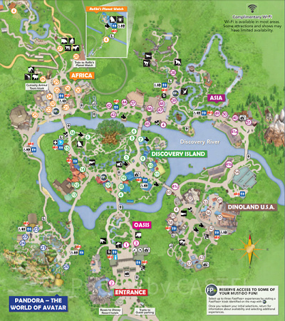 元キャストが教えるWDW「アニマルキングダム」完全攻略プラン
