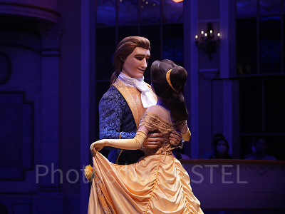 美女と野獣の魔法のものがたり