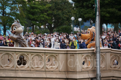耳から何から何までピッタリのレインコートがかわいい