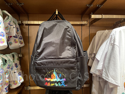冬ディズニーにおすすめのバッグはリュック!