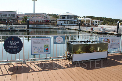 海洋ごみについて学べる展示も