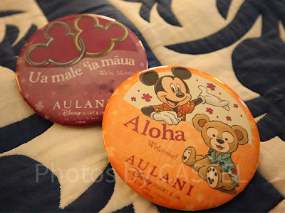 アウラニ滞在の際にもらえる缶バッチとハネムーン用の缶バッチ