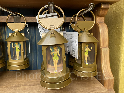 ディズニー3D壁掛け  1個       ( ティンカーベル ) 719orQ4E4DL._AC_UF350,