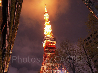 地上から見た東京タワー