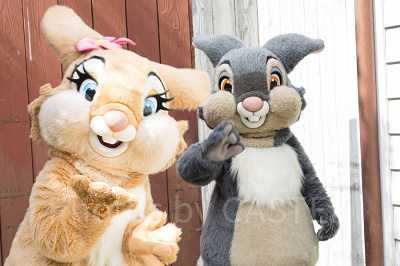 とんすけ・ミスバニー グリーティング