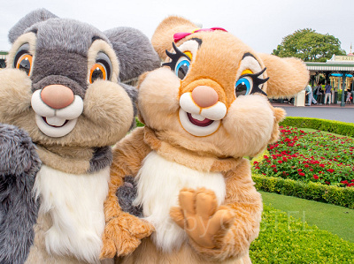 とんすけ＆ミスバニー| キャステル | CASTEL ディズニー情報