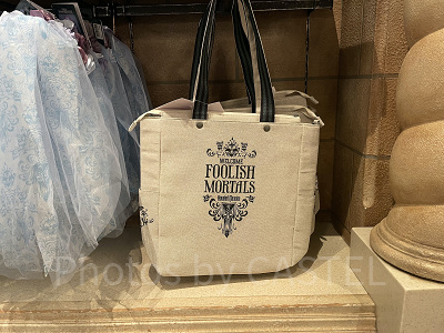 トートバッグ(ディズニーストーリービヨンドグッズ)