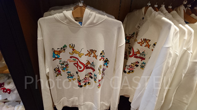 トレーナー（チームディズニー）