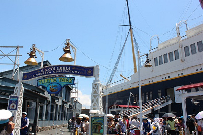 タートル・トーク