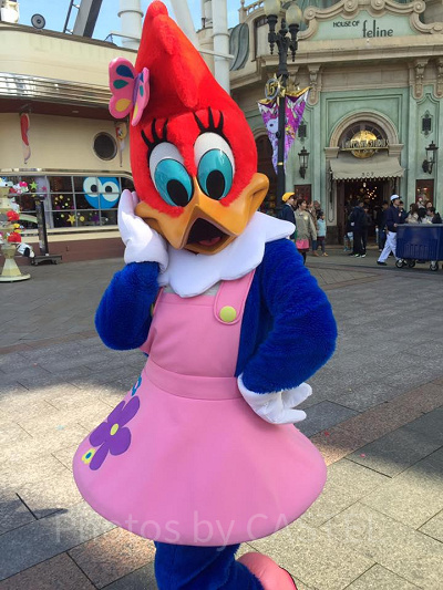 ユニバにはかわいいキャラクターがたくさんいます！