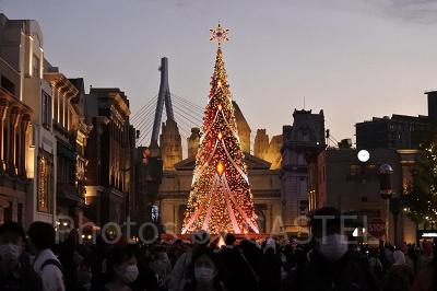 ユニバのクリスマスツリー（過去撮影）