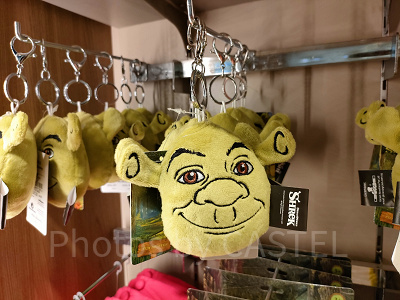 ユニバーサルスタジオシンガポール(USS)：プラッシーキーリング