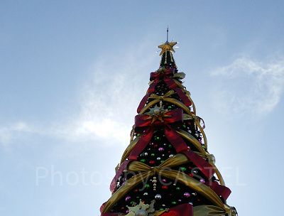 ユニバーサル　ツリー