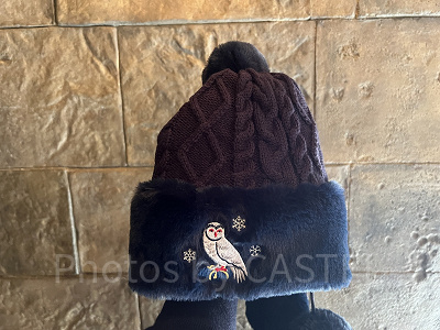 USJハリーポッター2024-2025冬グッズ:ニット帽