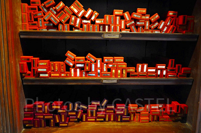 USJ／ビバリーヒルズギフトの杖