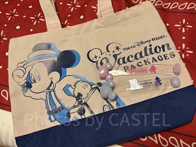 ディズニー　バケーションパッケージ はじめての東京ディズニーリゾート・バケーションパッケージ