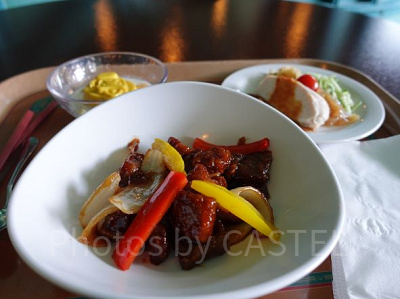 ヴォルケイニアセット