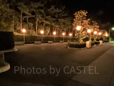 19時頃の待ち合いエリア