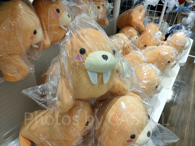 鳥羽水族館お土産：セイウチのミニマスコット