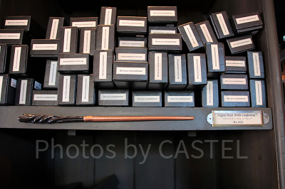 ネビル・ロングボトムの杖