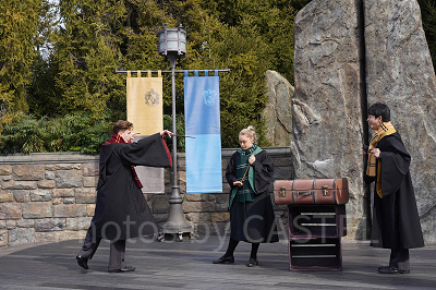 ワンド・スタディ