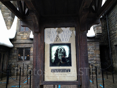 魔法界の指名手配書