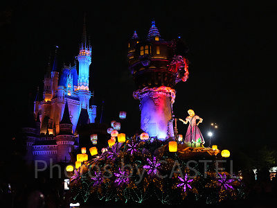 ラプンツェルの森のアトラクションは？