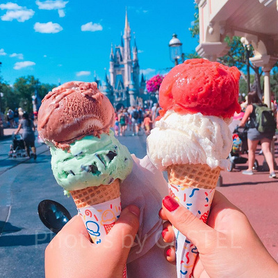 夏ディズニーの必需品は?