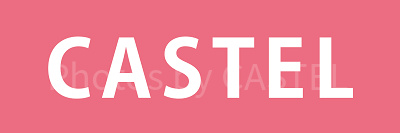 キャステルとは