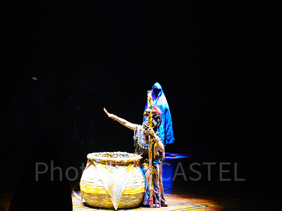 香港ディズニー「フェスティバル・オブ・ザ・ライオンキング」ショーとは？