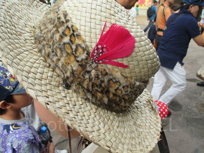 帽子についた赤い羽根の正体は…？