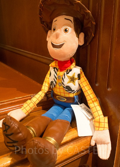 必見】本名はウッディ・プライド！ウッディのプロフィールや衝撃の裏